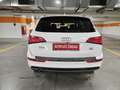 Audi Q5 2,0 TDI quattro Sport DPF S-tronic Weiß - thumbnail 8