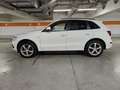 Audi Q5 2,0 TDI quattro Sport DPF S-tronic Weiß - thumbnail 4