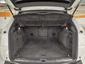 Audi Q5 2,0 TDI quattro Sport DPF S-tronic Weiß - thumbnail 20