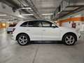 Audi Q5 2,0 TDI quattro Sport DPF S-tronic Weiß - thumbnail 5