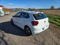 Volkswagen Polo Polo VI 2017 5p 1.0 tgi Comfortline 90cv my19 Bianco - thumbnail 4