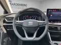 SEAT Leon Road Edition 1.5 eTSI 110 kW (150 Grau - thumbnail 12