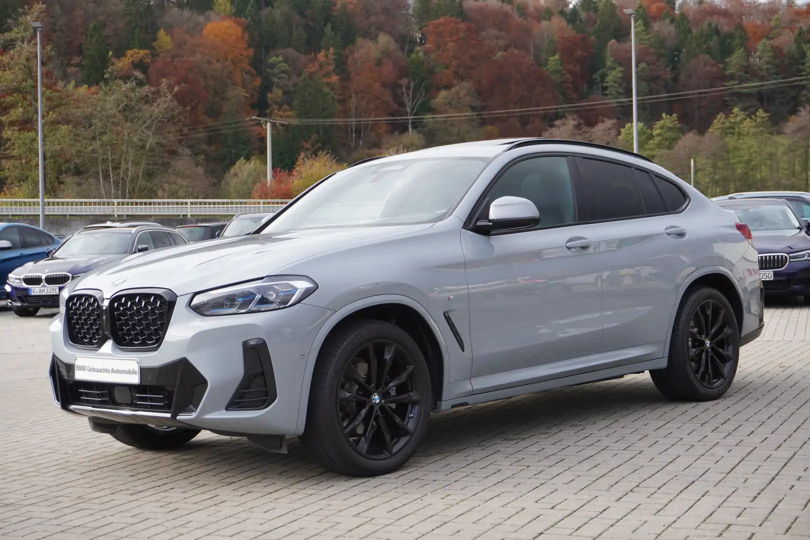 BMW X4 xDrive20d M Sport HeadUp Sitzbelüftung Glasdach AC Grau - 1