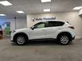 Mazda CX-5 2.0 TS+ Lease Pack|NWE DISTR. KETTING|TREKHAAK|VEE Bianco - thumbnail 4