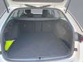 Skoda Octavia Combi Clever 1.4 TSI DSG iV RFK PDC LED Weiß - thumbnail 15