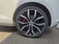 Volkswagen Golf GTI GOLF GTI PERFORMANCE 2.0 TSI DSG 3 PORTE BLUEMOTI Wit - thumbnail 29