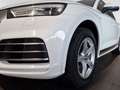 Audi Q5 2.0 TDI sport S-line AHK RFK PDC Sitzhz Klima Blanc - thumbnail 6