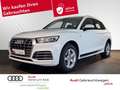 Audi Q5 2.0 TDI sport S-line AHK RFK PDC Sitzhz Klima Blanc - thumbnail 1