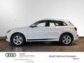 Audi Q5 2.0 TDI sport S-line AHK RFK PDC Sitzhz Klima Blanc - thumbnail 3