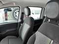 Fiat Panda CITY Cross 1.0 FireFly S&S Hybrid Nero - thumbnail 14