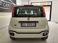 Fiat Panda CITY Cross 1.0 FireFly S&S Hybrid Nero - thumbnail 5