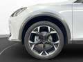 CUPRA Formentor 1.5 TSI Pano LED LM 19" Navi RFK ACC B Weiß - thumbnail 13