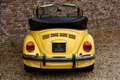 Volkswagen Beetle 1303 Convertible Formula Vee "4.410 mls" ORIGINAL! Galben - thumbnail 6