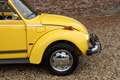 Volkswagen Beetle 1303 Convertible Formula Vee "4.410 mls" ORIGINAL! Gelb - thumbnail 32