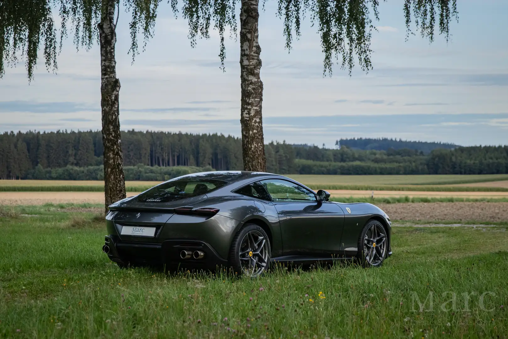Ferrari Roma ADAS / Matrix LED / Magnerid / 360° / Carplay Grey - 2