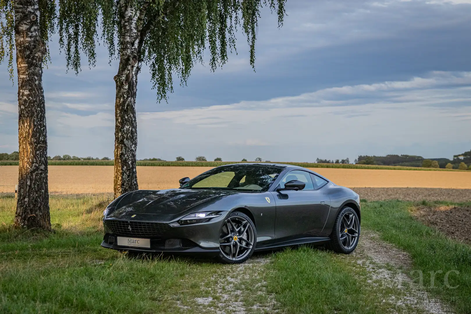 Ferrari Roma ADAS / Matrix LED / Magnerid / 360° / Carplay Grey - 1