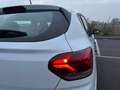 Dacia Sandero NEOP 1.0 Benzina Bianco - thumbnail 7