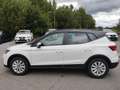 SEAT Arona ARONA ROAD EDITION 1.0 TSI DSG NAVI SITZH. EPH Blanco - thumbnail 13