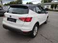 SEAT Arona ARONA ROAD EDITION 1.0 TSI DSG NAVI SITZH. EPH Blanco - thumbnail 2