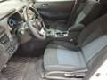Nissan Leaf 40 kWh Blanco - thumbnail 3