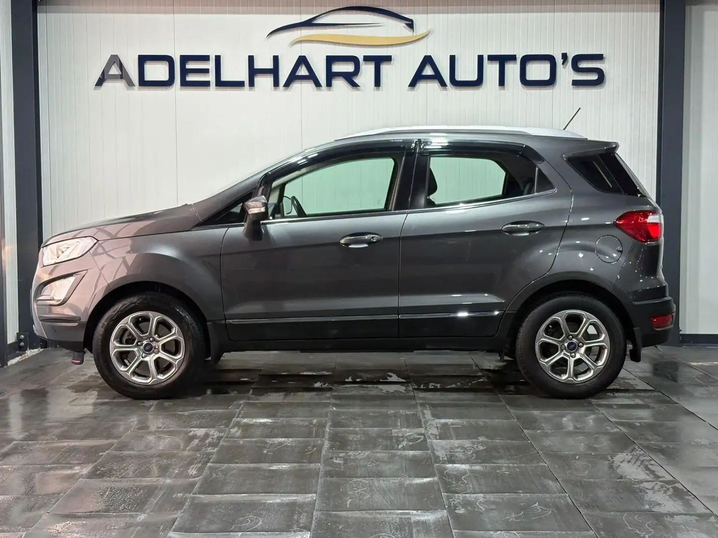 Ford EcoSport 1.0 EcoBoost Titanium 140 PK / Navigatie full map Gris - 2