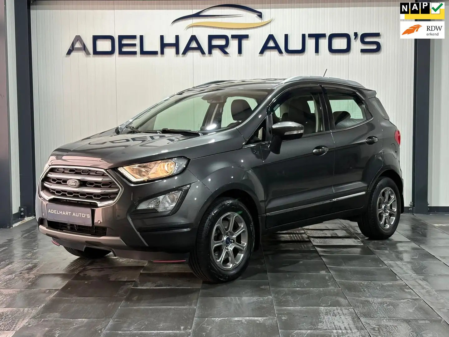 Ford EcoSport 1.0 EcoBoost Titanium 140 PK / Navigatie full map Gris - 1
