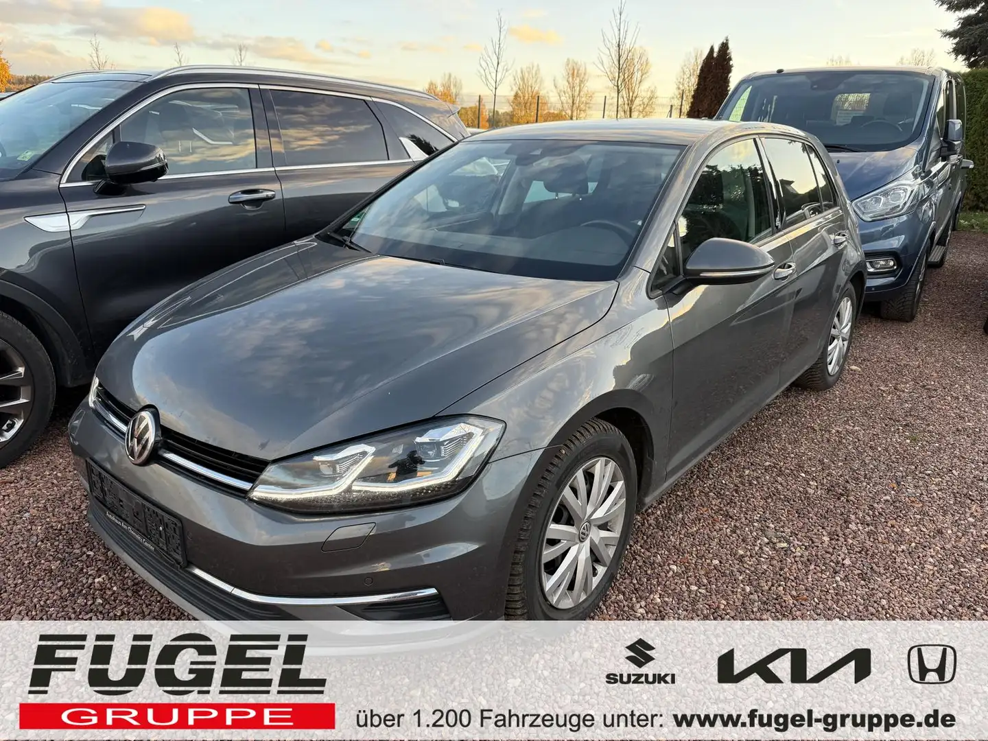 Volkswagen Golf 2.0 TDI DSG 4Motion Sound Matrix|AHK|Navi|ACC Grau - 1
