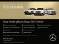 Mercedes-Benz EQA 300 4M PROG+ADVANCED+KAMERA+SPUR Plateado - thumbnail 18