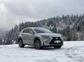 Lexus NX 300h Limited hybrid Allrad - thumbnail 6