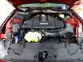 Ford Mustang 5.0 Ti-VCT V8 336KW    AT(Fast.) GT Rood - thumbnail 13