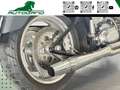 Harley-Davidson Softail Titan Coyote 1584*Finanziabile Grigio - thumbnail 11