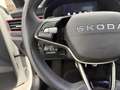 Skoda Kamiq 1.5 TSI Plus DSG7 110kW Blanco - thumbnail 10