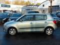Skoda Fabia 1.2 Ambiente SDach Shz Klima Parkhlf TÜV Grün - thumbnail 7