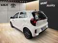 Kia Picanto 1.2 Vision, Navigation, Kamera Weiß - thumbnail 5