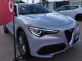 Alfa Romeo Stelvio Stelvio 2.2 t Business Q4 190cv auto Grigio - thumbnail 10