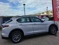 Alfa Romeo Stelvio Stelvio 2.2 t Business Q4 190cv auto Grigio - thumbnail 8