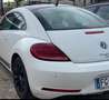 Volkswagen Maggiolino Maggiolino 2.0 tdi bm Design 110cv dsg - thumbnail 2
