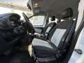 Fiat Qubo Qubo 1.3 mjt 16v MyLife Білий - thumbnail 11