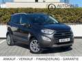Ford EcoSport Titanium*57.000KM*NAVI*SHZ*R-KAM*LHZ Gris - thumbnail 3