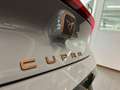 CUPRA Born Performance One 62kWh | SOH 95% | Navi Grijs - thumbnail 38