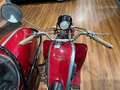 Moto Guzzi Astore 500cc Astore Side ASI Targa Oro Rood - thumbnail 16