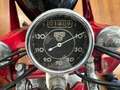 Moto Guzzi Astore 500cc Astore Side ASI Targa Oro Rood - thumbnail 20