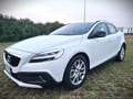 Volvo V40 Cross Country V40 Cross Country 2.0 d2 Business Plus Biały - thumbnail 10