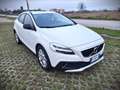 Volvo V40 Cross Country V40 Cross Country 2.0 d2 Business Plus Biały - thumbnail 1