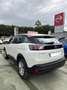 Peugeot 3008 1.5BlueHDi Active Pack S&S 130 Blanco - thumbnail 2