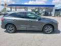 Ford Kuga Kuga 2.5 phev ST-Line X 2wd 225cv cvt Gris - thumbnail 7