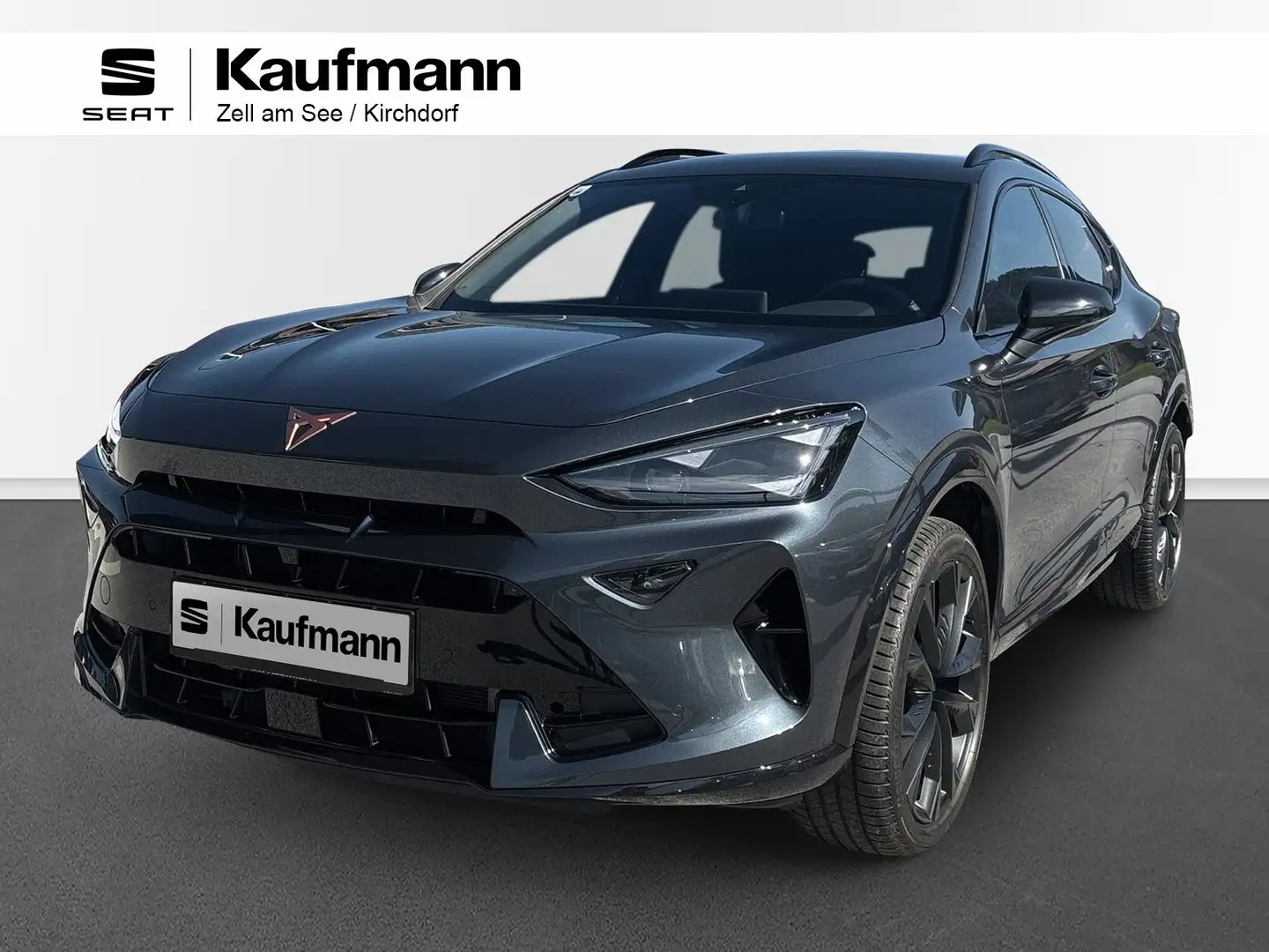 CUPRA Formentor 1.5 TSI 150 PS ACT Grau - 1