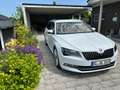 Skoda Superb Superb III Combi Diesel Combi 2.0 TDI DSG Style Weiß - thumbnail 2