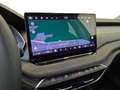Skoda Octavia 2.0 TDI EVO SCR DSG Wagon Executive N1 Autocarro Gris - thumbnail 21