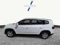 Chevrolet Orlando 2.0VCDi LTZ 163 Blanco - thumbnail 6